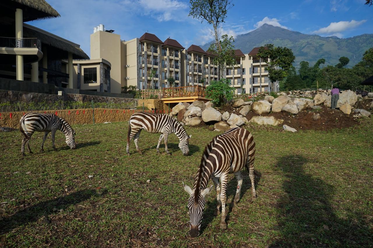 Prigen Baobab Safari Resort מראה חיצוני תמונה